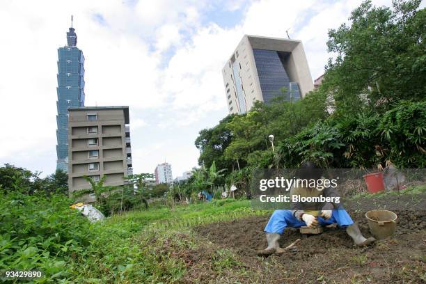 Woman plants vegetables in a business district in Taipei, Taiwan, on Thursday, Nov. 26, 2009. Taiwan's economy contracted at the slowest pace in a...