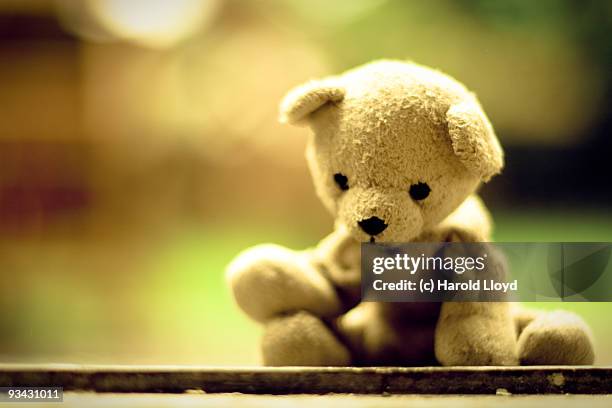 sad little teddy bear is weary with woe - テディベア　無人 ストックフォトと画像