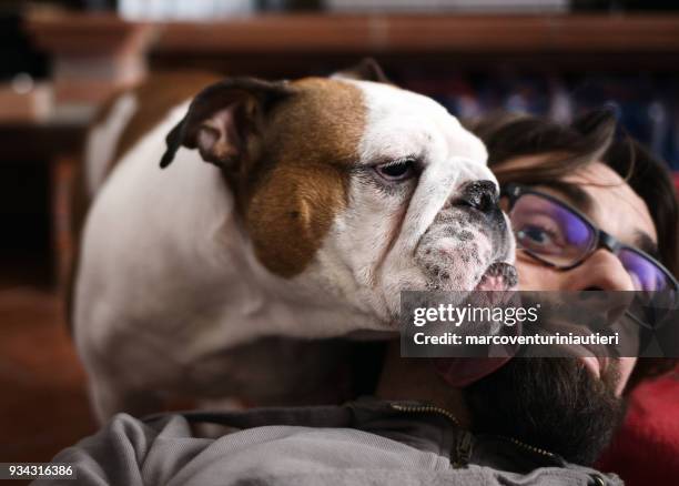 selfie - anhänglicher hund leckt mein gesicht - dog licking face stock-fotos und bilder