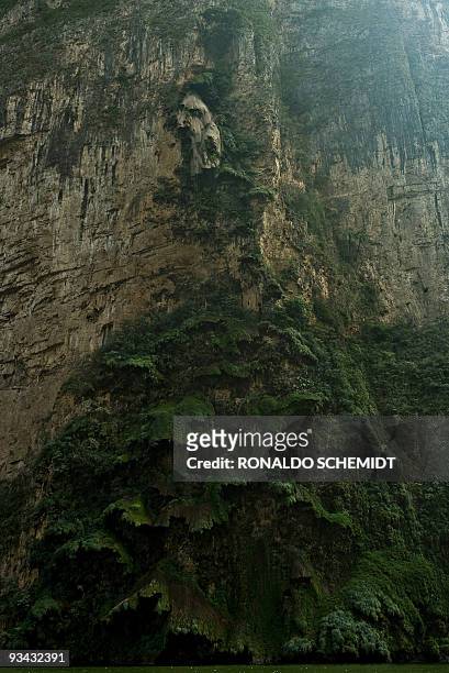 View of the "Arbol de Navidad" waterfall at the Sumidero Canyon in Chiapa de Corzo, Chiapas State, on November 22, 2009. The cliffs are 900 meters...