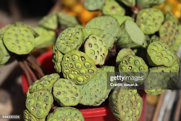 ready to eat lotus seeds - singkawang stock pictures, royalty-free photos & images