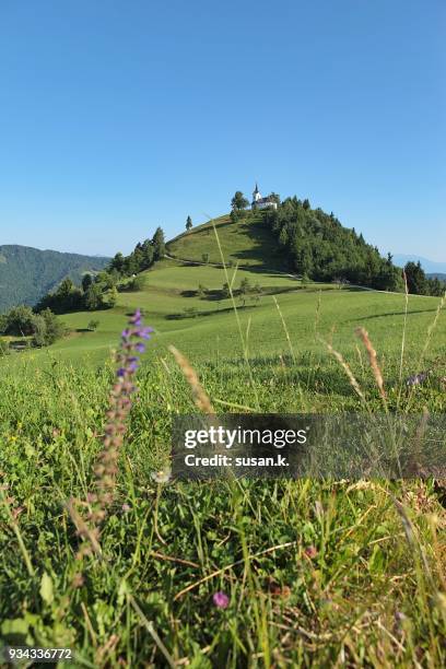 green meadows on hill top with clear blue sky - singkawang stock pictures, royalty-free photos & images