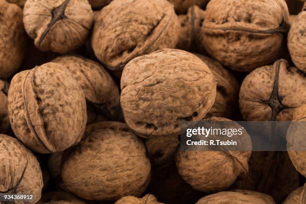 walnut nut closeup - nutshell stock pictures, royalty-free photos & images