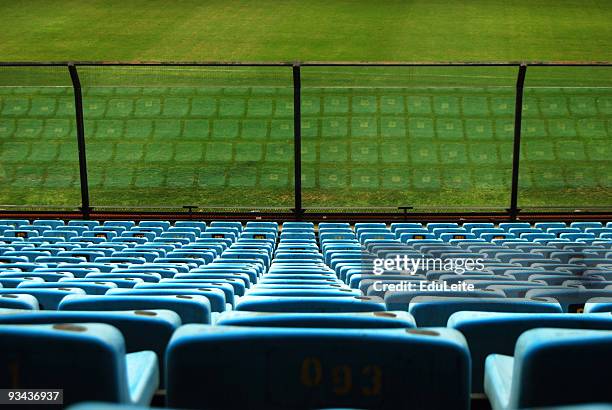 el estadio - futbol argentino fotografías e imágenes de stock