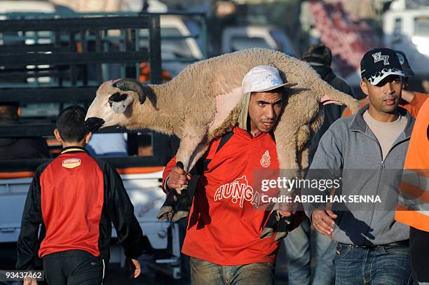 Man carries a sheep he purchased ahead of Aid el-Kebir holiday on November 26, 2009 in Rabat. For some Moroccans buying a sheep can represent a...