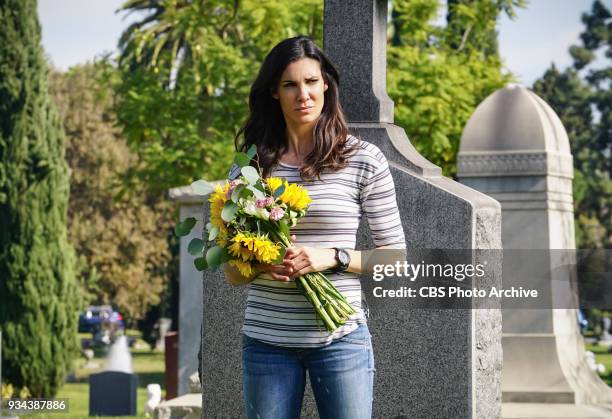 Vendetta" - Pictured: Daniela Ruah . Callen and Sam join forces with Anna Kolcheck and the Bureau of Alcohol, Tobacco and Firearms , when Arkady...