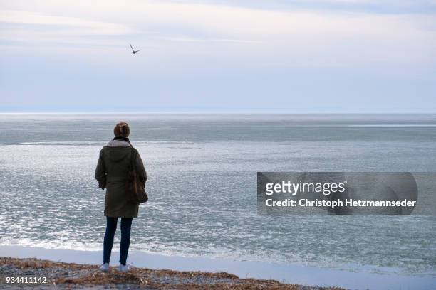 woman standing at lake - burgenland - fotografias e filmes do acervo