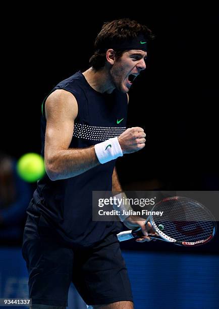 Juan Martin Del Potro of Argentina celebrates winning the match during the men's singles round robin match against Roger Federer of Switzerland...