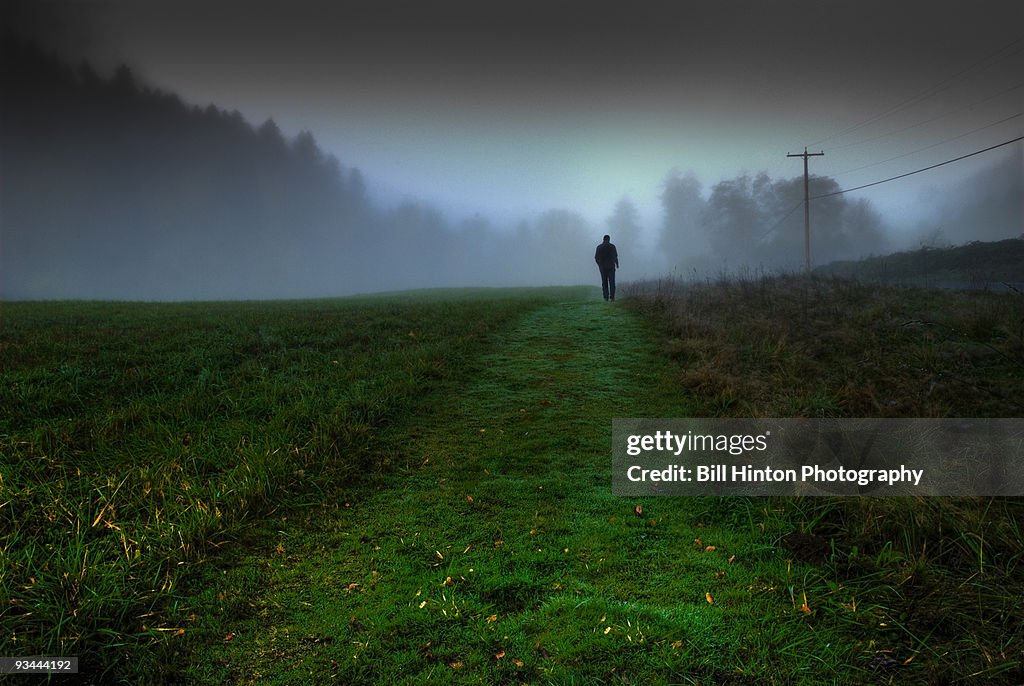 Morning fog