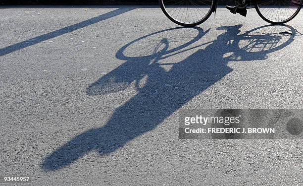 Cyclist casts a shadow on the road while riding under the midday sun in Beijing on November 27, 2009. China's Communist Party leadership pledged to...