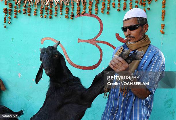 An Indian Muslim inspects the legs of a goat to estimate the weight at a makeshift livestock market ahead of Eid-al-Adha, in Hyderabad on November...