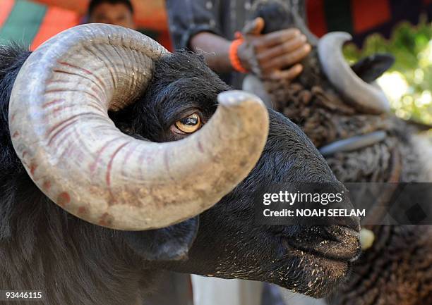 1 007 20000 Dollars Stock Photos High Res Pictures And Images Getty inr-explaining-the-indian-rupee