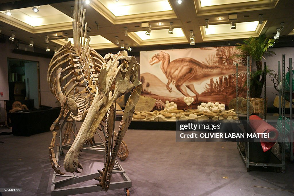 A 100-million-year, eight-meter long Spi
