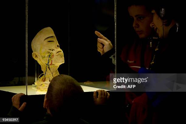Visitors look at a transversal cut of a human head on display at the "Bodies...The Exhibition" at the Exhibition and Congress Palace in Granada,...