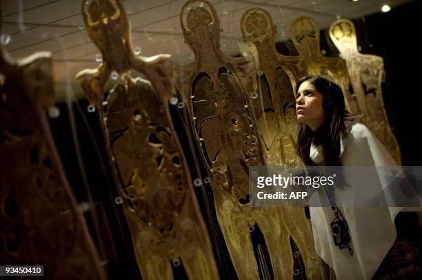 Visitor looks at transversal cuts of a human body on display at the "Bodies...The Exhibition" at the Exhibition and Congress Palace in Granada,...