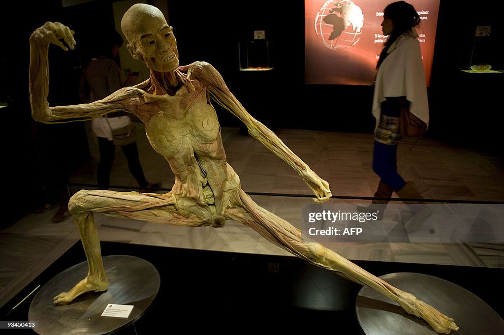 View of a human body on display at the "