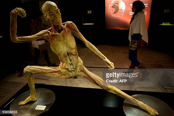 View of a human body on display at the "Bodies...The Exhibition" at the Exhibition and Congress Palace in Granada, southern Spain, on November 27,...