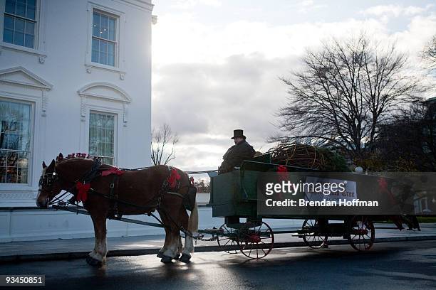 The official White House Christmas Tree arrives at the North Portico of the White House on November 27, 2009 in Washington, DC. The 18 and a half...