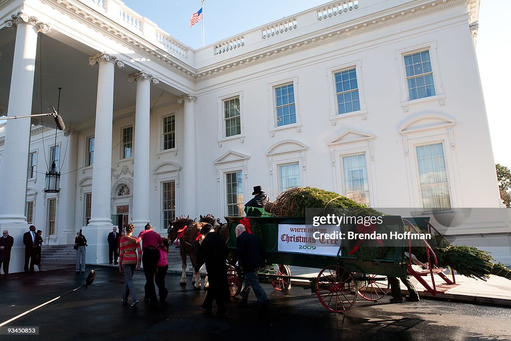Michelle Obama Receives White House Christmas Tree