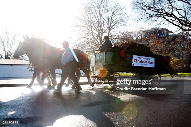 The official White House Christmas Tree arrives at the North Portico of the White House on November 27, 2009 in Washington, DC. The 18 and a half...