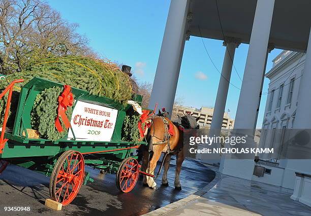 The official White House Christmas Tree stands at the North Portico of the White House in Washington on November 27, 2009. The 18.5ft Douglas fir...