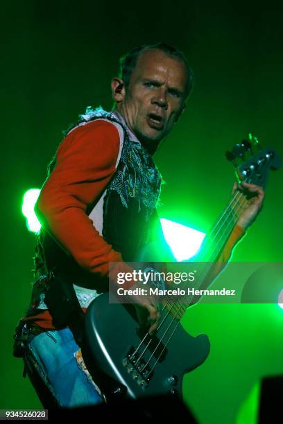 Flea of Red Hot Chili Peppers performs during the second day of Lollapalooza Chile 2018 at Parque O'Higgins on March 17, 2018 in Santiago, Chile.