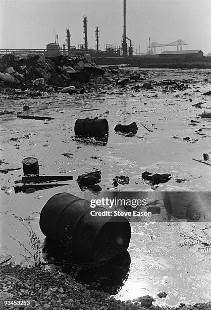 oil pollution - ölpest stock-fotos und bilder