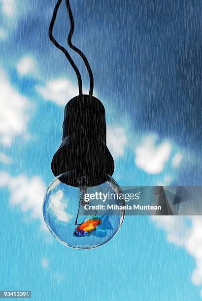 little fish swimming in a bulb - fish in bulb stock pictures, royalty-free photos & images