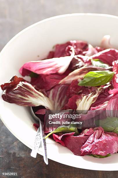 christmas salad of radicchio & basil - couve rouxa imagens e fotografias de stock