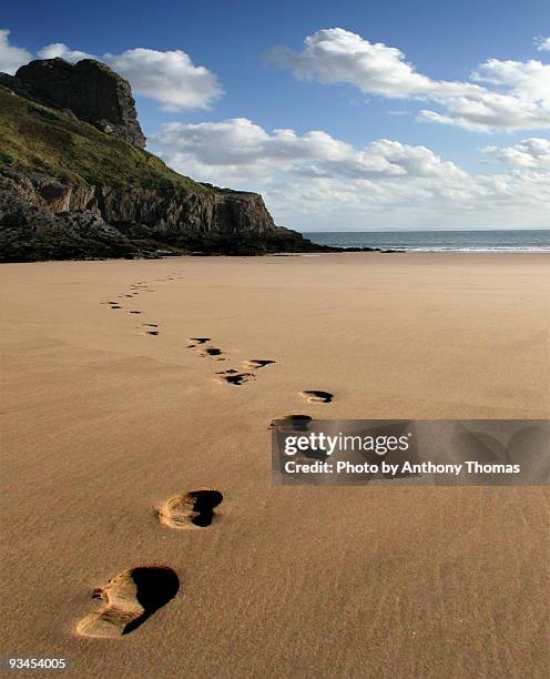 Skip Footsteps 2,720 Footsteps Disappearing Stock Photos, High-Res Pictures, and ...