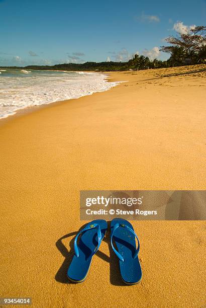 trancoso beach - rogers arena fotografías e imágenes de stock