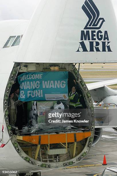 Giant Pandas Wang Wang and Funi arrive in crates at Adelaide Airport on November 28, 2009 in Adelaide, Australia. The pandas have travelled from...