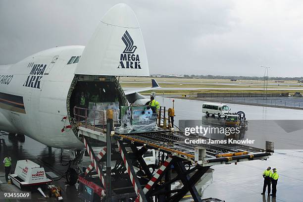 Giant Pandas Wang Wang and Funi arrive in a crate at Adelaide Airport on November 28, 2009 in Adelaide, Australia. The pandas have travelled from...