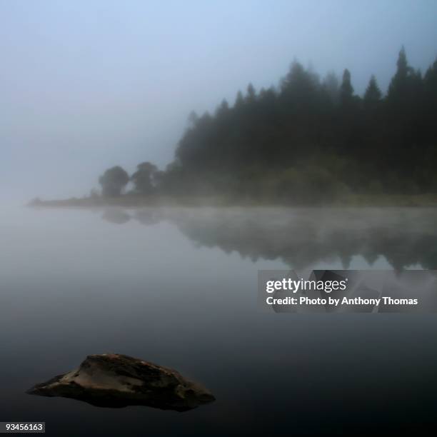 trees in fog by a  lake - mymbyr lake stock-fotos und bilder