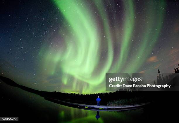 aurora borealis in canada - yellowknife canada stockfoto's en -beelden