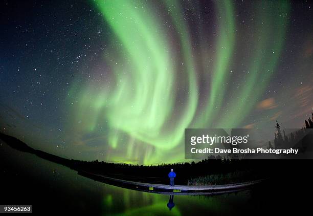 aurora borealis in canada - yellowknife stock pictures, royalty-free photos & images
