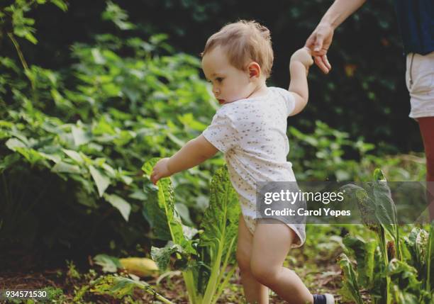 5,217 Child First Steps Stock Photos, High-Res Pictures, and Images ...
