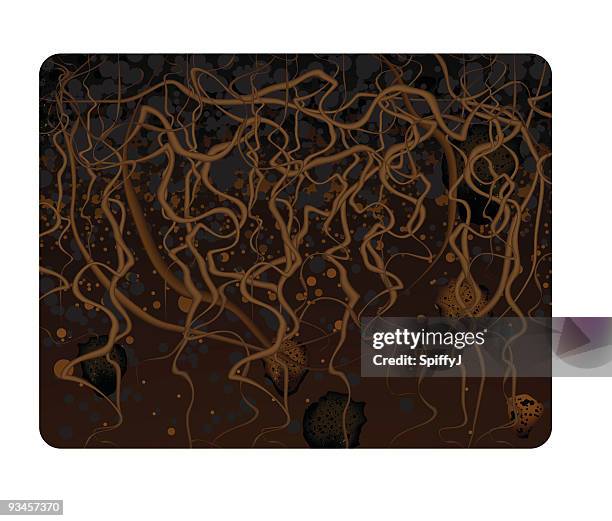 twisted u-bahn wurzeln - verheddert stock-grafiken, -clipart, -cartoons und -symbole