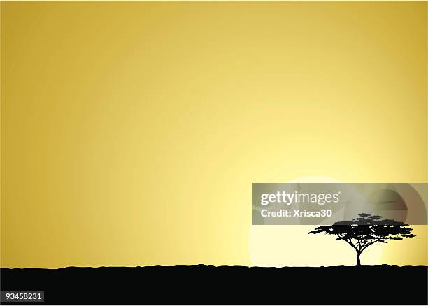 afrikanische safari-hintergrund - acacia tree stock-grafiken, -clipart, -cartoons und -symbole