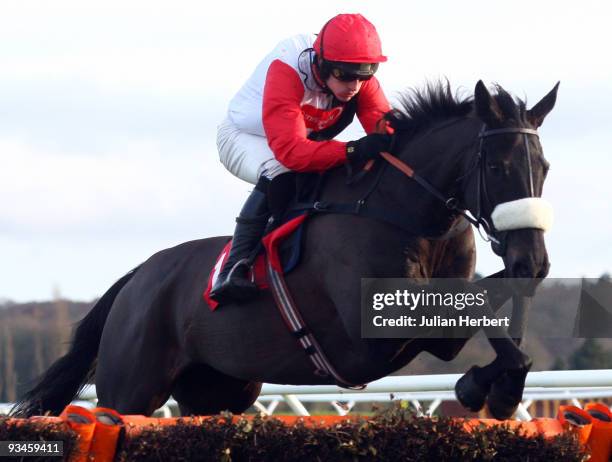 Ruby Walsh and Big Buck's clear the last flight to win The sportingbet.com Long Distance Hurdle Race run at Newbury Racecourse on November 28, 2009...