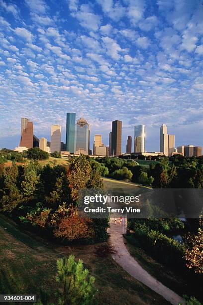 usa, texas, houston, skyline, two men jogging through park in fore - houston texas stock pictures, royalty-free photos & images