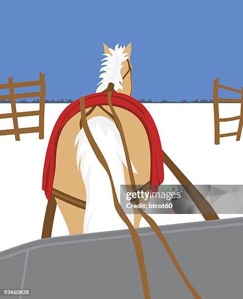 horse and sleigh - horse blanket stock illustrations