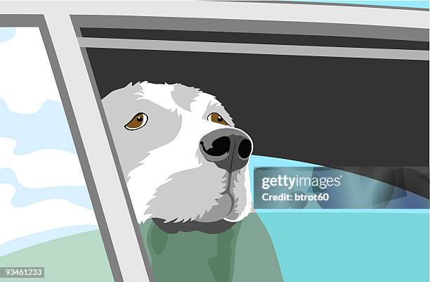 stockillustraties, clipart, cartoons en iconen met dog waiting - car window