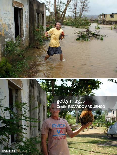 This combo of photos made on March 19, 2018 shows Eduardo Caban rescues a rooster named Coco from his flooded garage as Hurricane Maria hits Puerto...