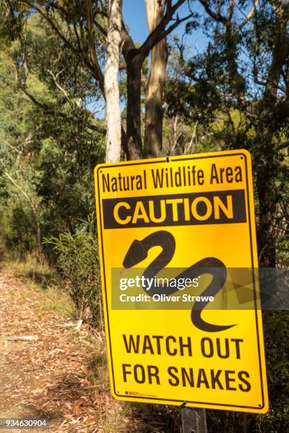 Beware Of Snakes Photos and Premium High Res Pictures - Getty Images