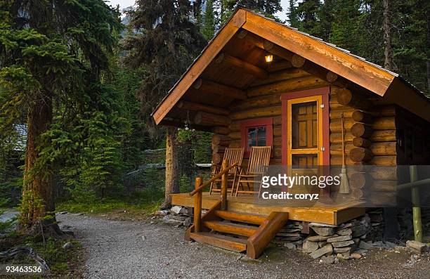 log cabin in the forest - cabin stockfoto's en -beelden