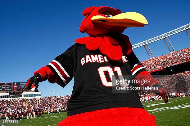 Cocky, the South Carolina Gamecocks mascot celebrates a first half touchdown against the Clemson Tigers at Williams-Brice Stadium on November 28,...
