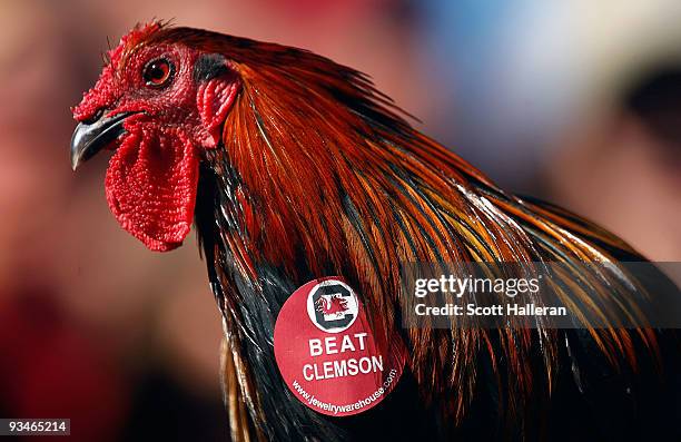 The South Carolina Gamecocks is seen on the sidelines during the game against the Clemson Tigers at Williams-Brice Stadium on November 28, 2009 in...