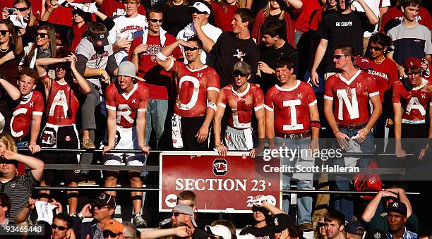 South Carolina Gamecocks fans watch the game against the Clemson Tigers at Williams-Brice Stadium on November 28, 2009 in Columbia, South Carolina.