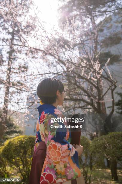 junge frau in hakama betrachten pflaumenblüten nach abschlussfeier - suginami stock-fotos und bilder